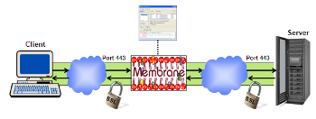 SOAP over SSL/HTTPS