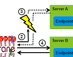 Web Services Failover