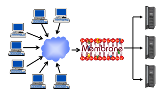 Membrane SOAP Router as reverse Proxy