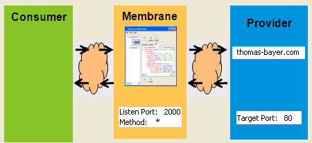 Membrane between Consumer and Producer