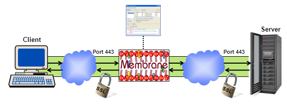 Logging SSL encrypted Traffic