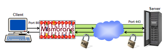 Non SSL Client communicates with secured Server